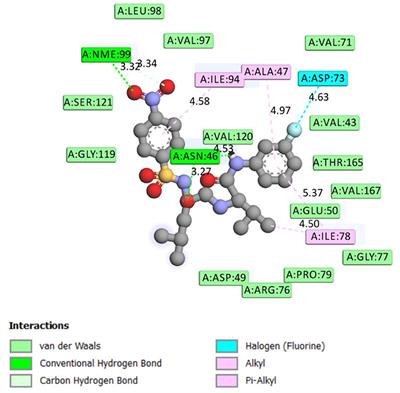 Novel Leu-Val Based Dipeptide as Antimicrobial and Antimalarial Agents: Synthesis and Molecular Docking